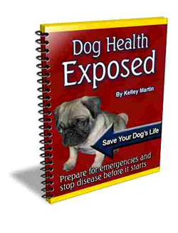 Dog Health Exposed